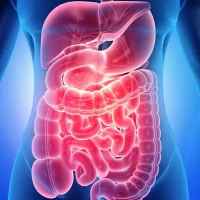 افضل دكتور باطنية في صنعاء